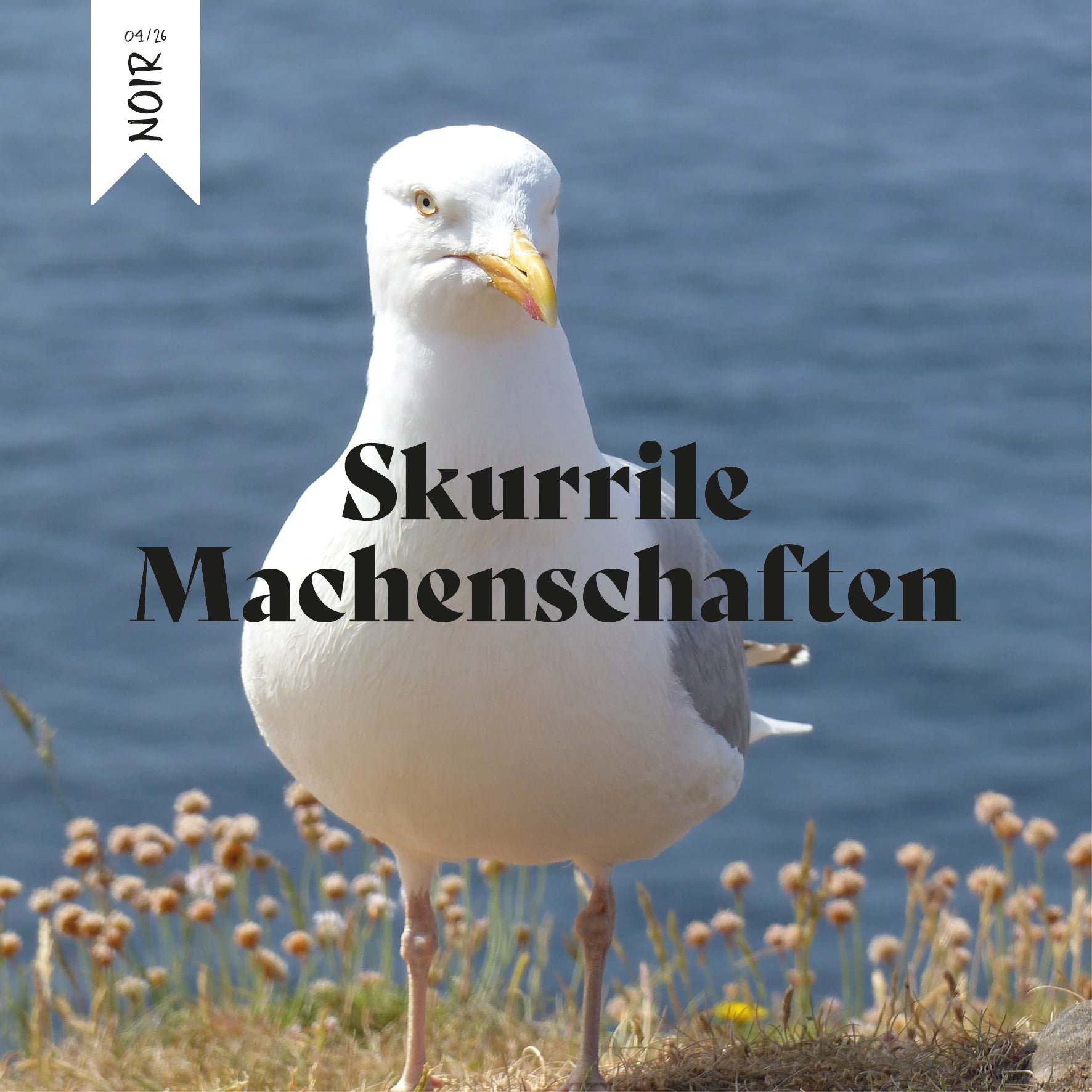 Schmökerbox noir - Skurrile Machenschaften - #04/26