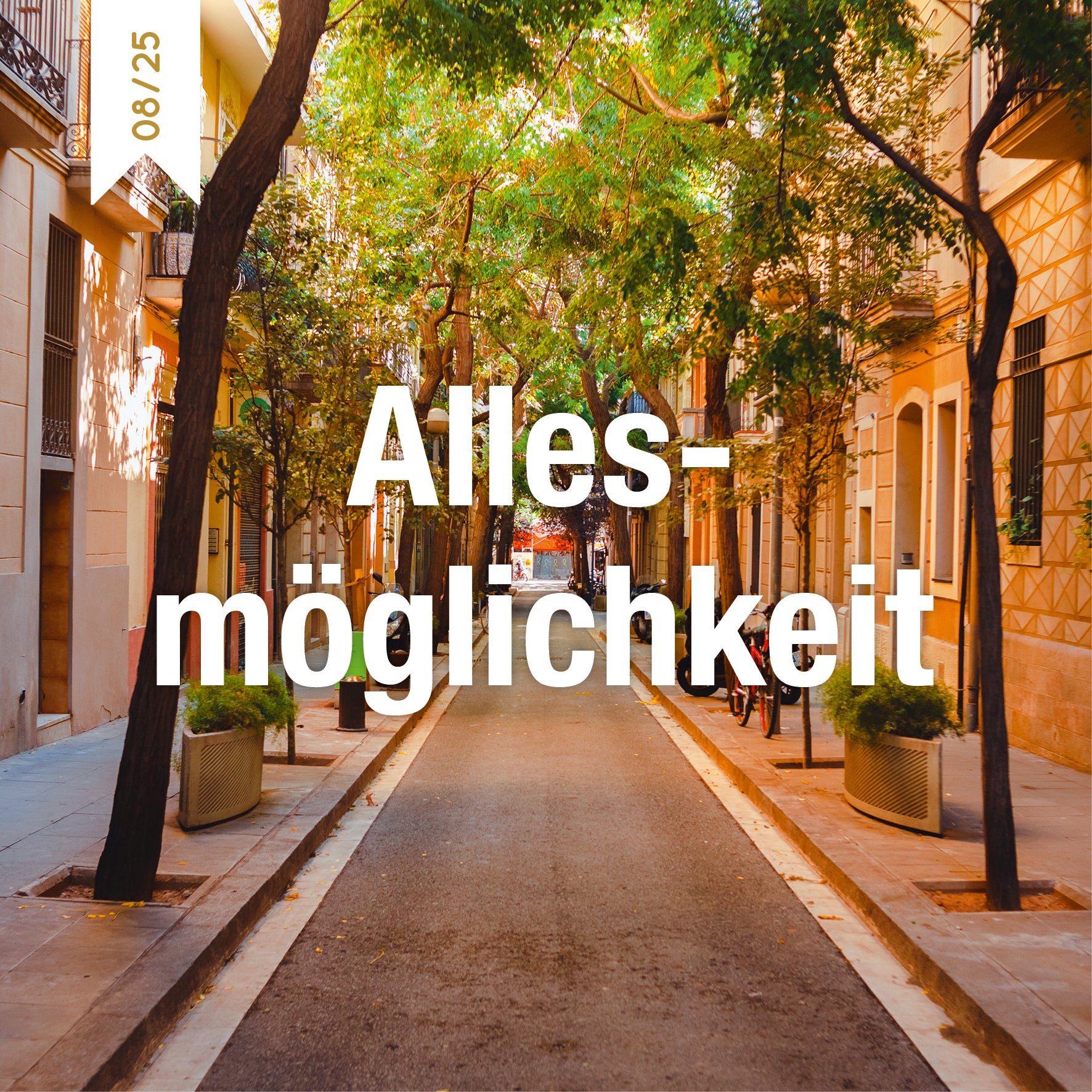 Schmökerbox - Allesmöglichkeit - #08/25