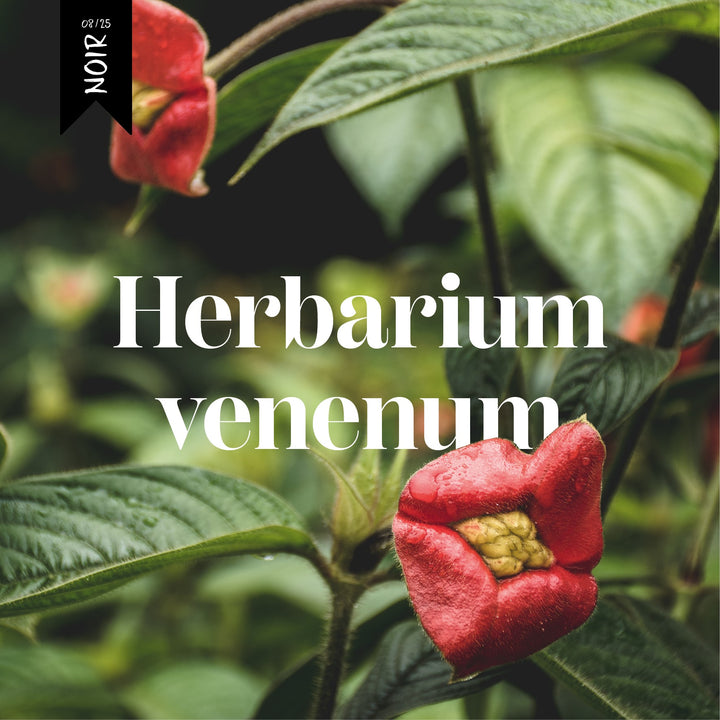 Schmökerbox noir - Herbarium venenum - #08/25