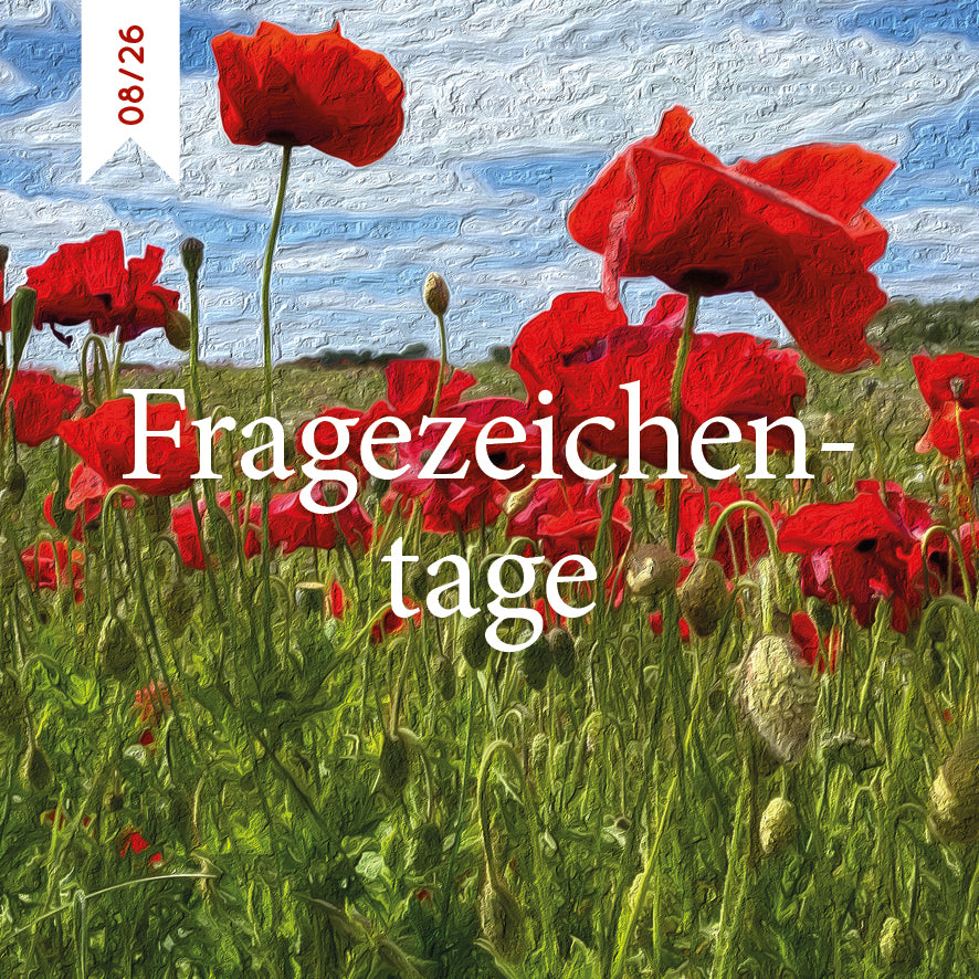 Schmökerbox - Fragezeichentage - #08/26