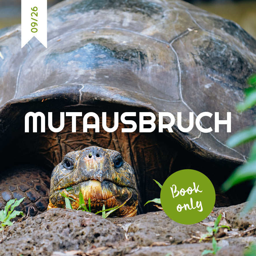 BOOK ONLY Schmökerbox Mutausbruch - #09/26