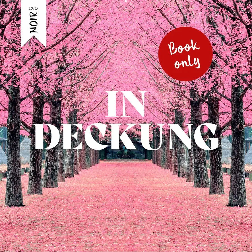 BOOK ONLY Schmökerbox noir - In Deckung - #10/26