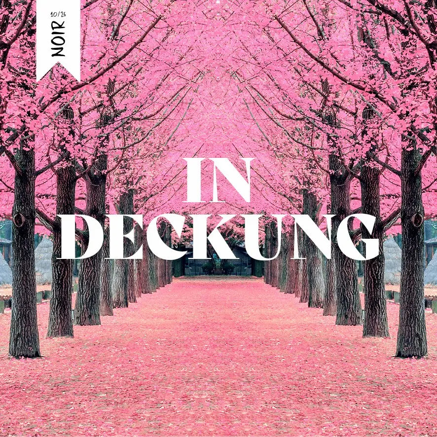Schmökerbox noir - In Deckung - #10/26