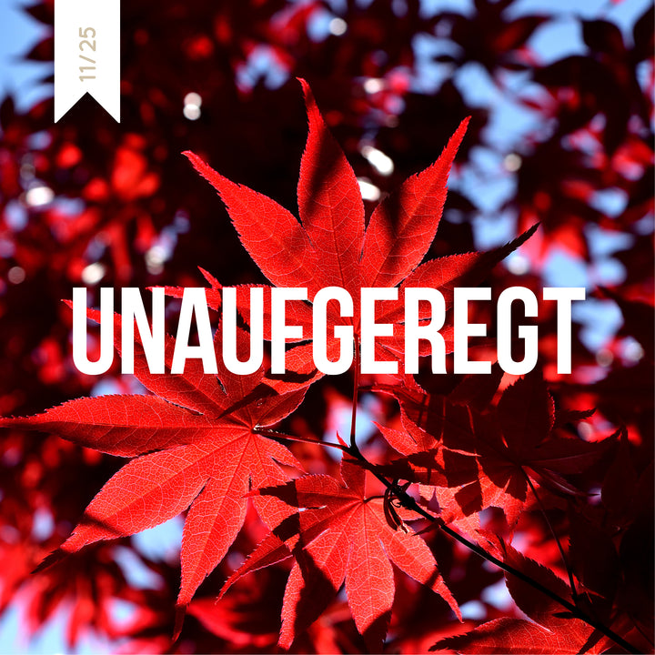 Schmökerbox - Unaufgeregt - #11/25